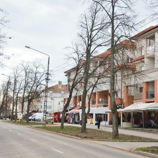 Steven Apartman8