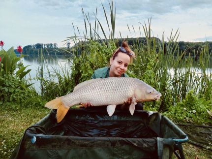 Desiparti Apartman49