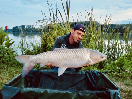 Desiparti Apartman50