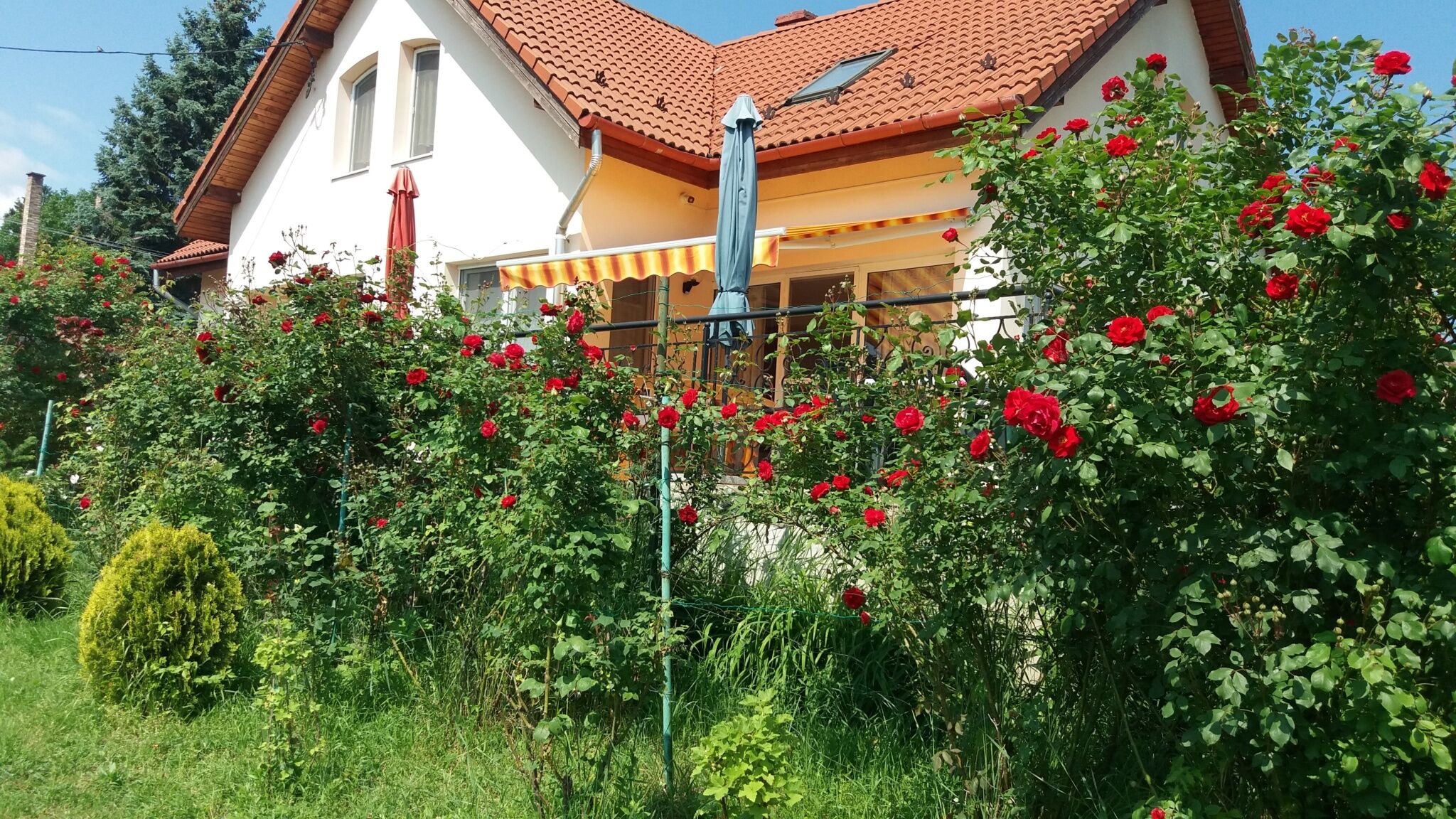 Villavölgy Vendégház – Dömös fotó 41