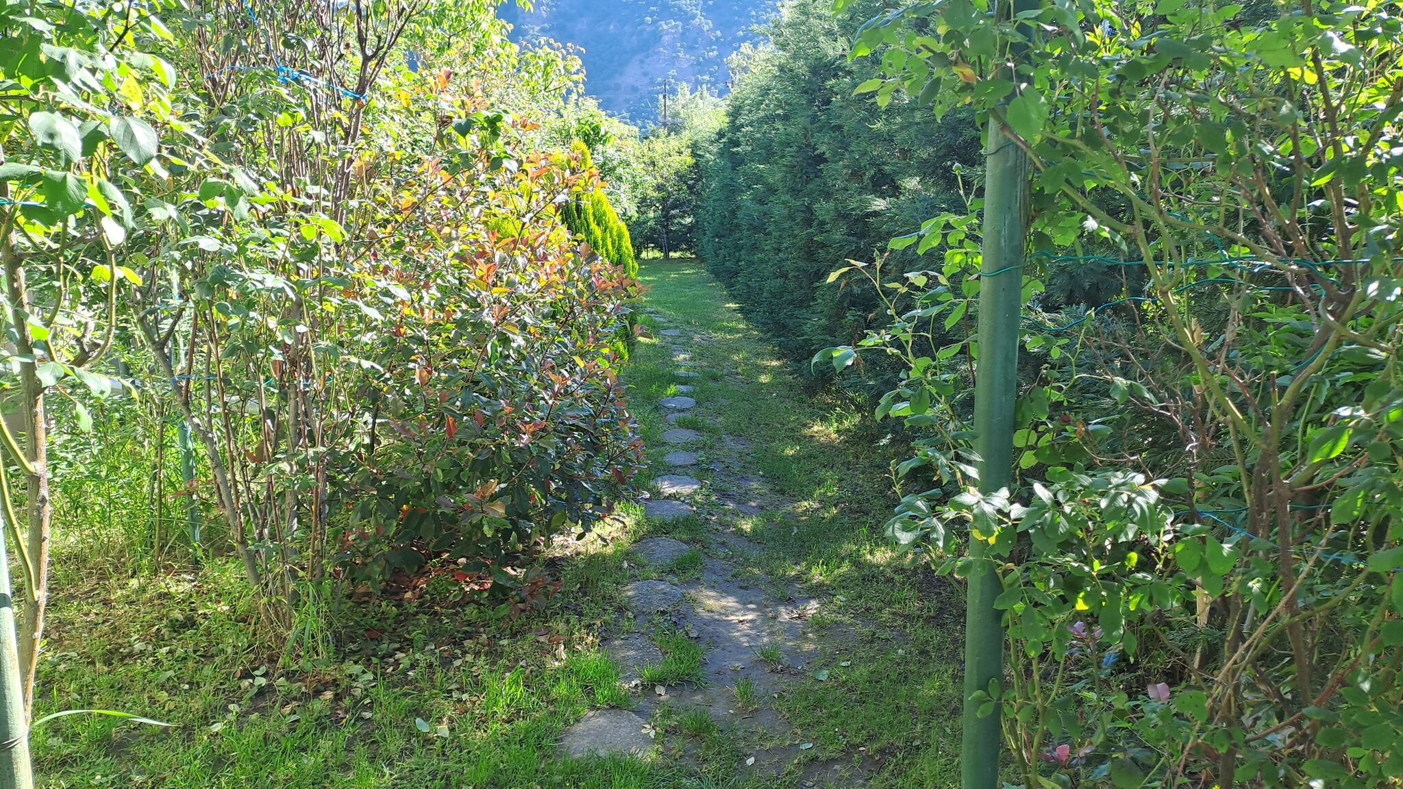 Villavölgy Vendégház – Dömös fotó 55