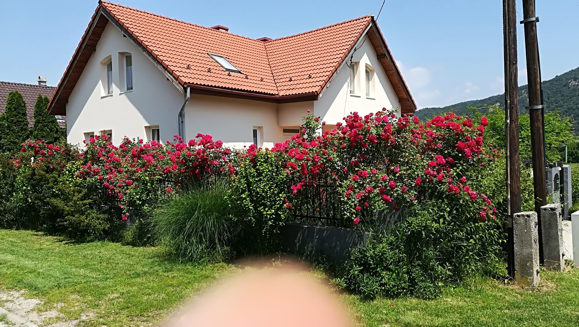Villavölgy Vendégház – Dömös fotó 4