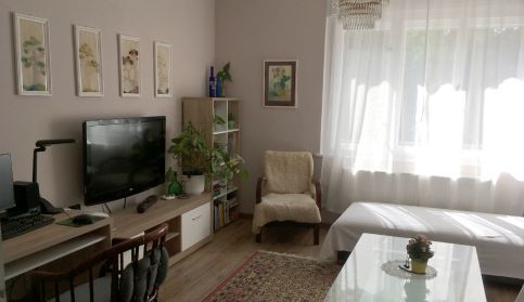 Rozica Apartman9