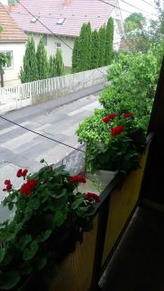 Szieszta Vendégház75