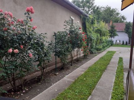 Szieszta Vendégház46