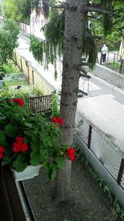 Szieszta Vendégház74