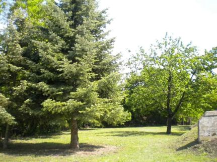 Vadrózsa Apartmanház7