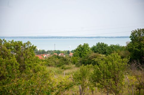 Lájer Apartman – Lovas fotó 29