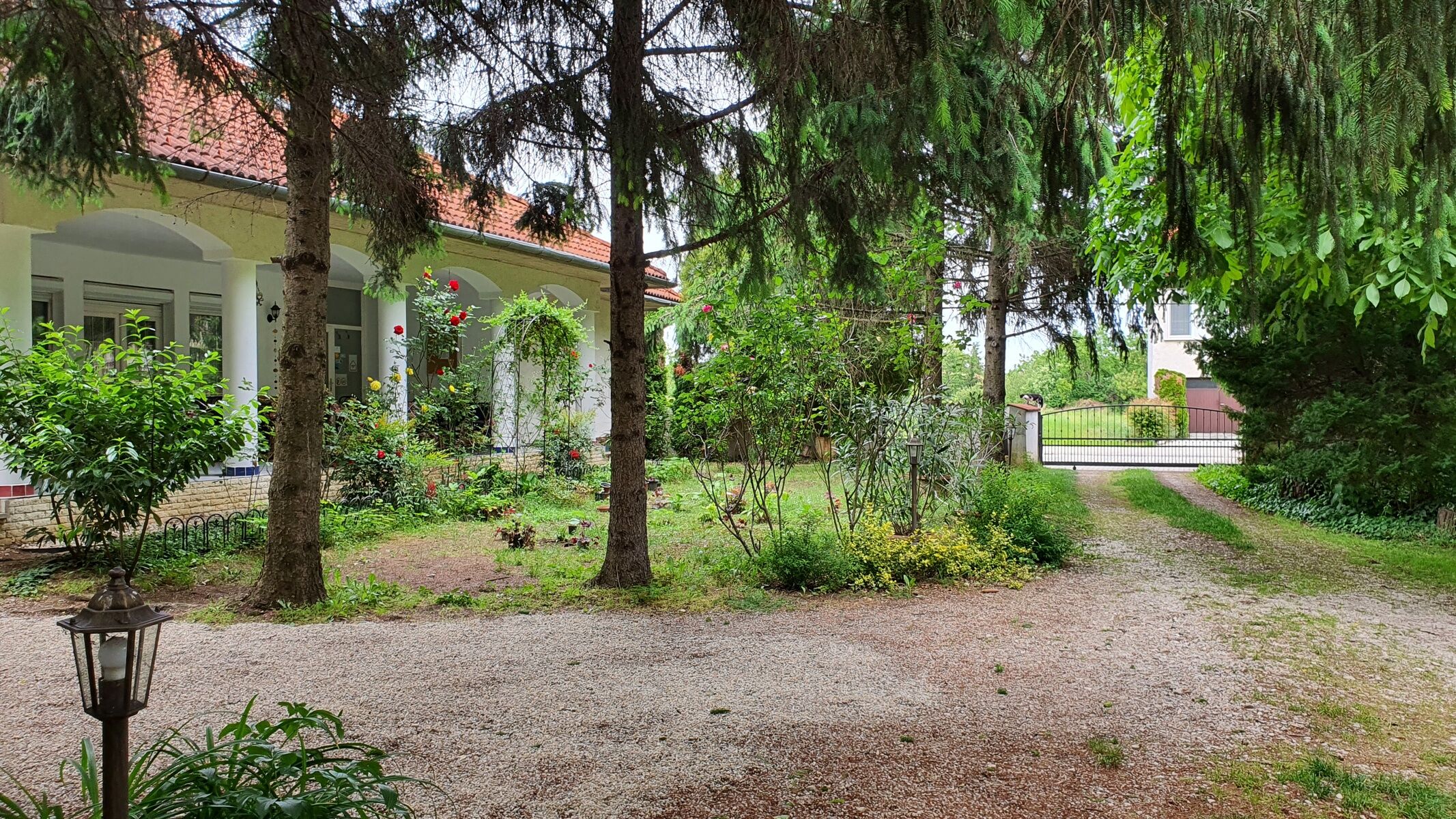 Fertődi Kúria Vendégház Fertőd – Fertőd fotó 8