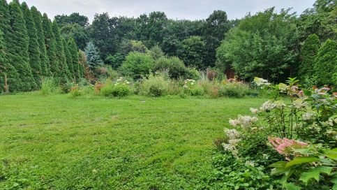 Fertődi Kúria Vendégház Fertőd7