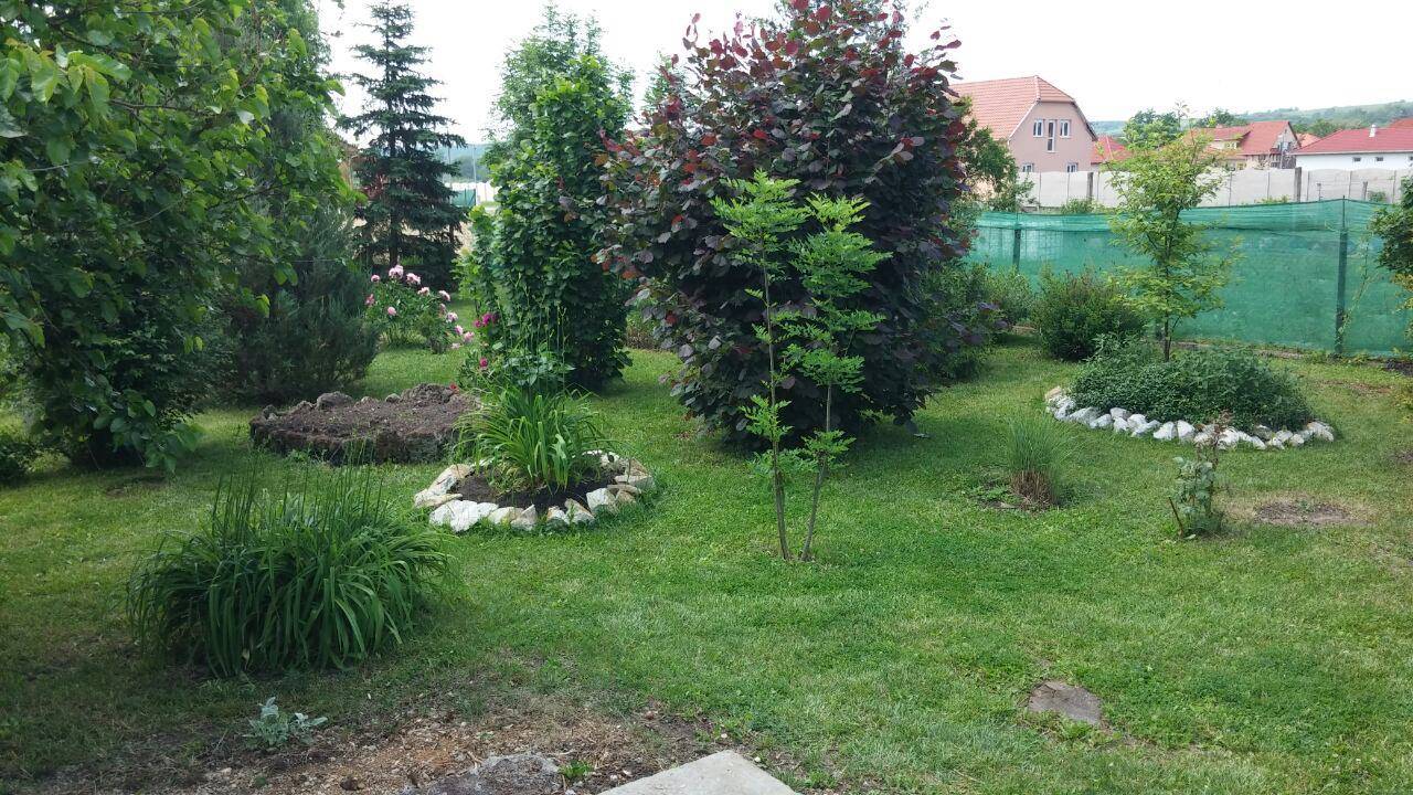 Aranyparmin Vendégház Egerszalók – Egerszalók fotó 20