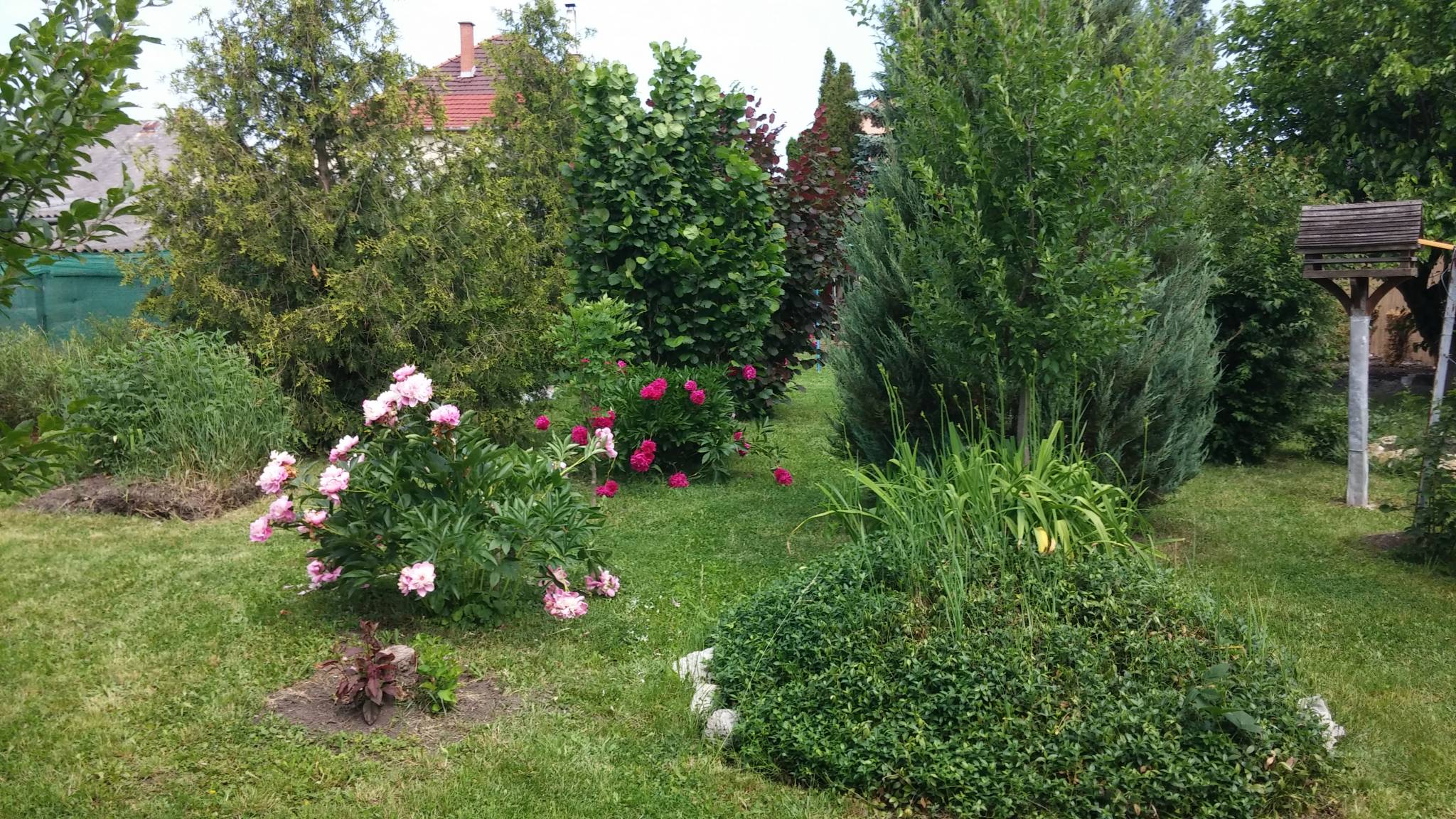 Aranyparmin Vendégház Egerszalók – Egerszalók fotó 23
