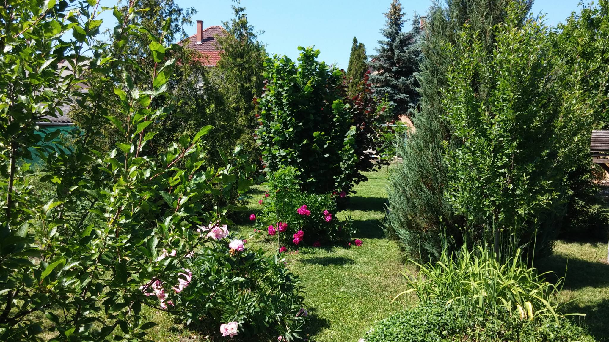 Aranyparmin Vendégház Egerszalók – Egerszalók fotó 33