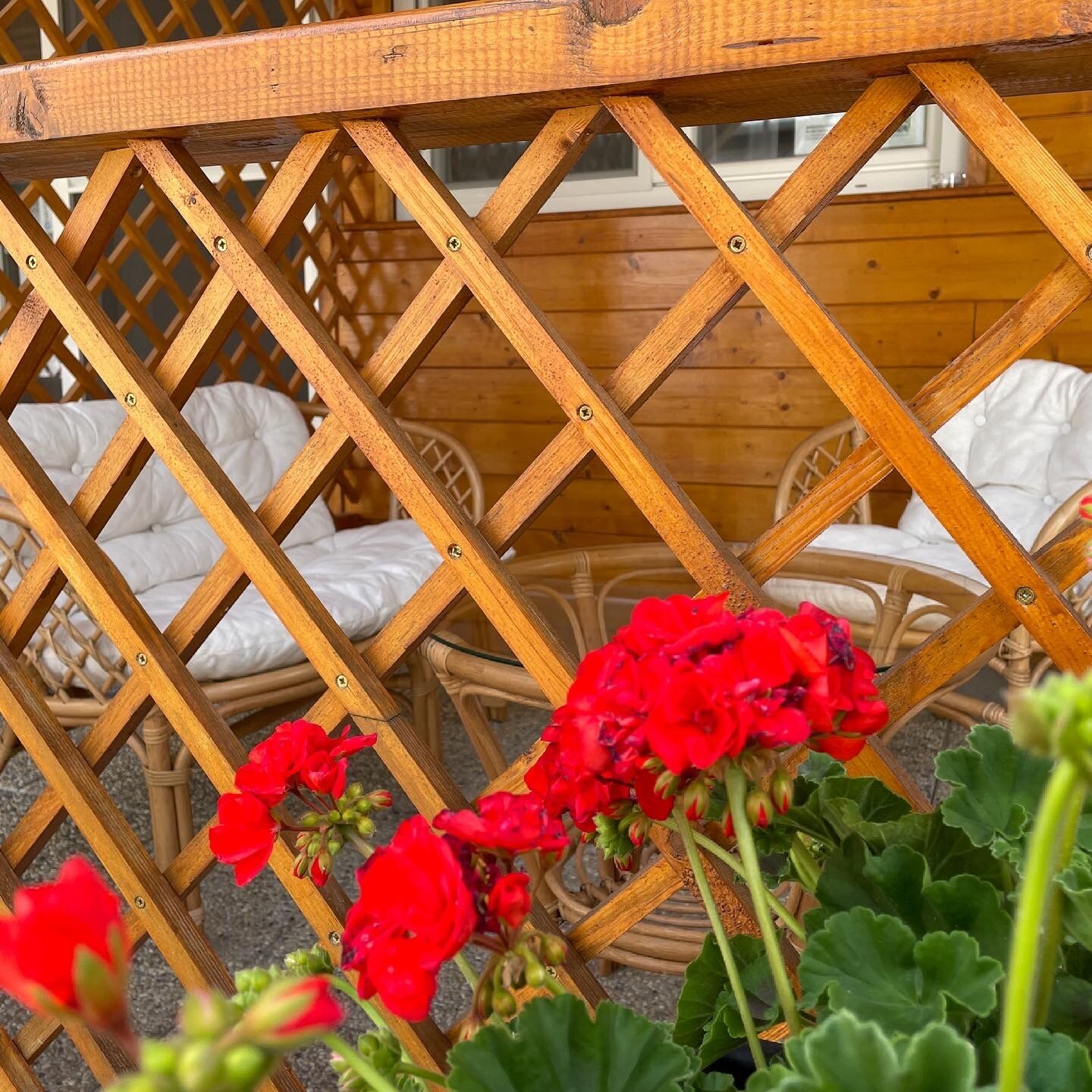 Páva Apartmanok – Berekfürdő fotó 6