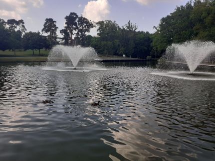 Stop Panzió Debrecen – Debrecen fotó 45