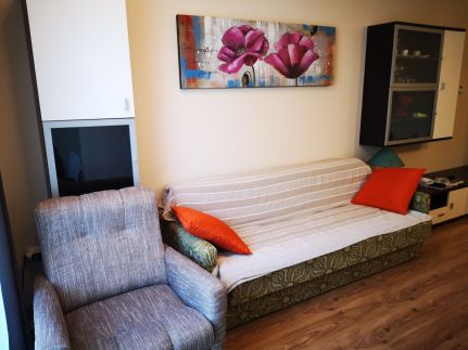 Luxury Wellness Apartment4