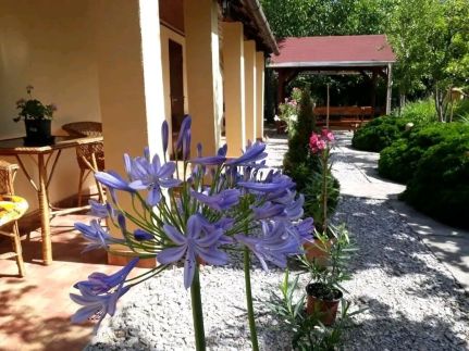 Aranyhal Vendégház66