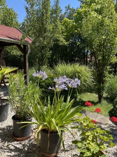 Aranyhal Vendégház42