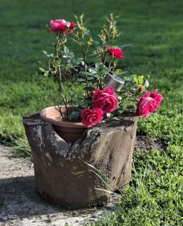 Liget Négy Apartman7