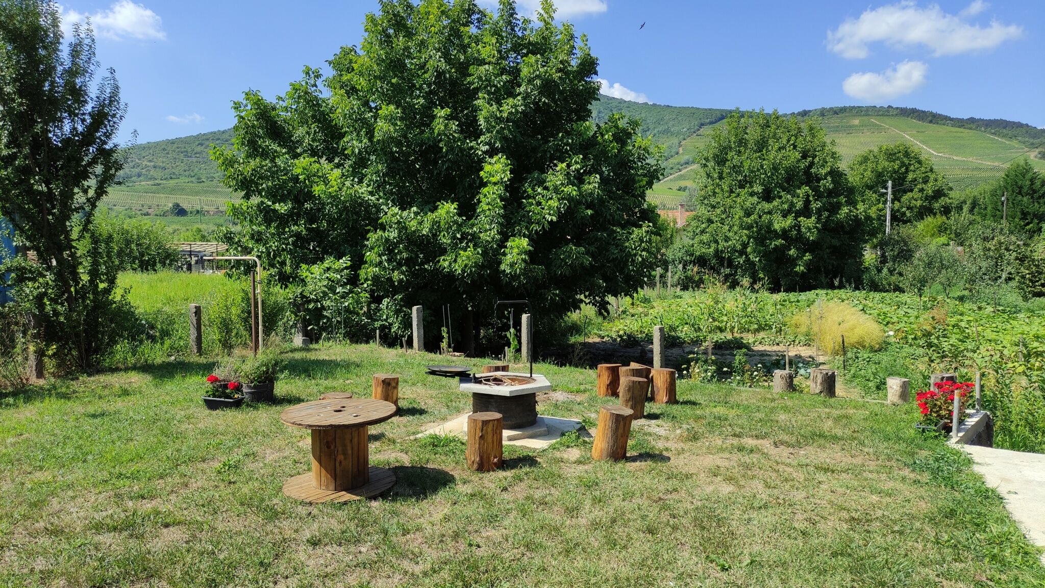 Hercz Vendégház – Tokaj fotó 8