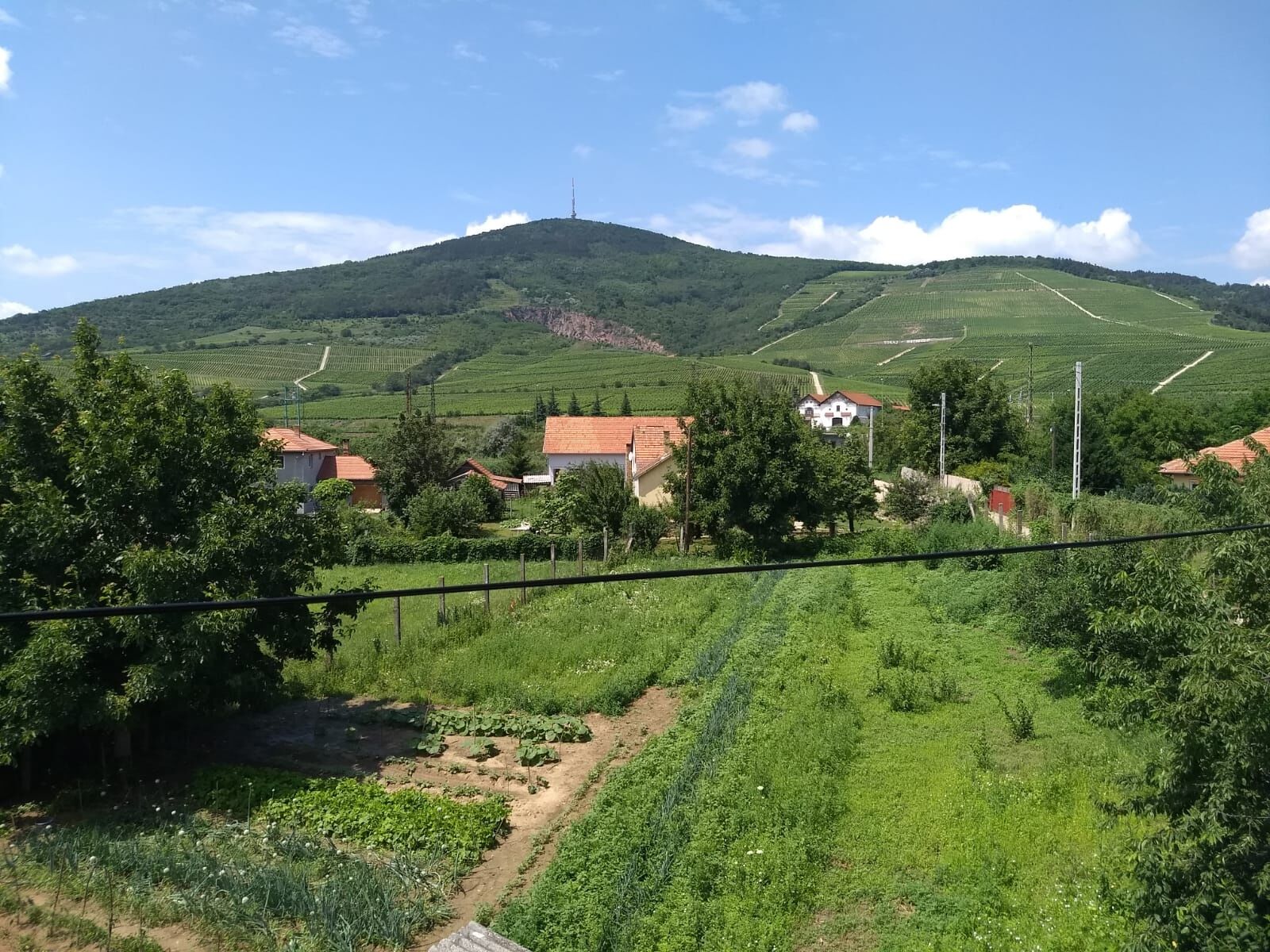 Hercz Vendégház – Tokaj fotó 10
