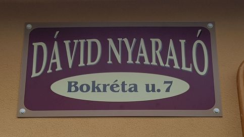 Dávid Nyaraló10