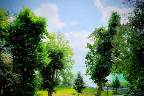 Oliver Lux Apartman6