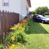 Liliom Apartman