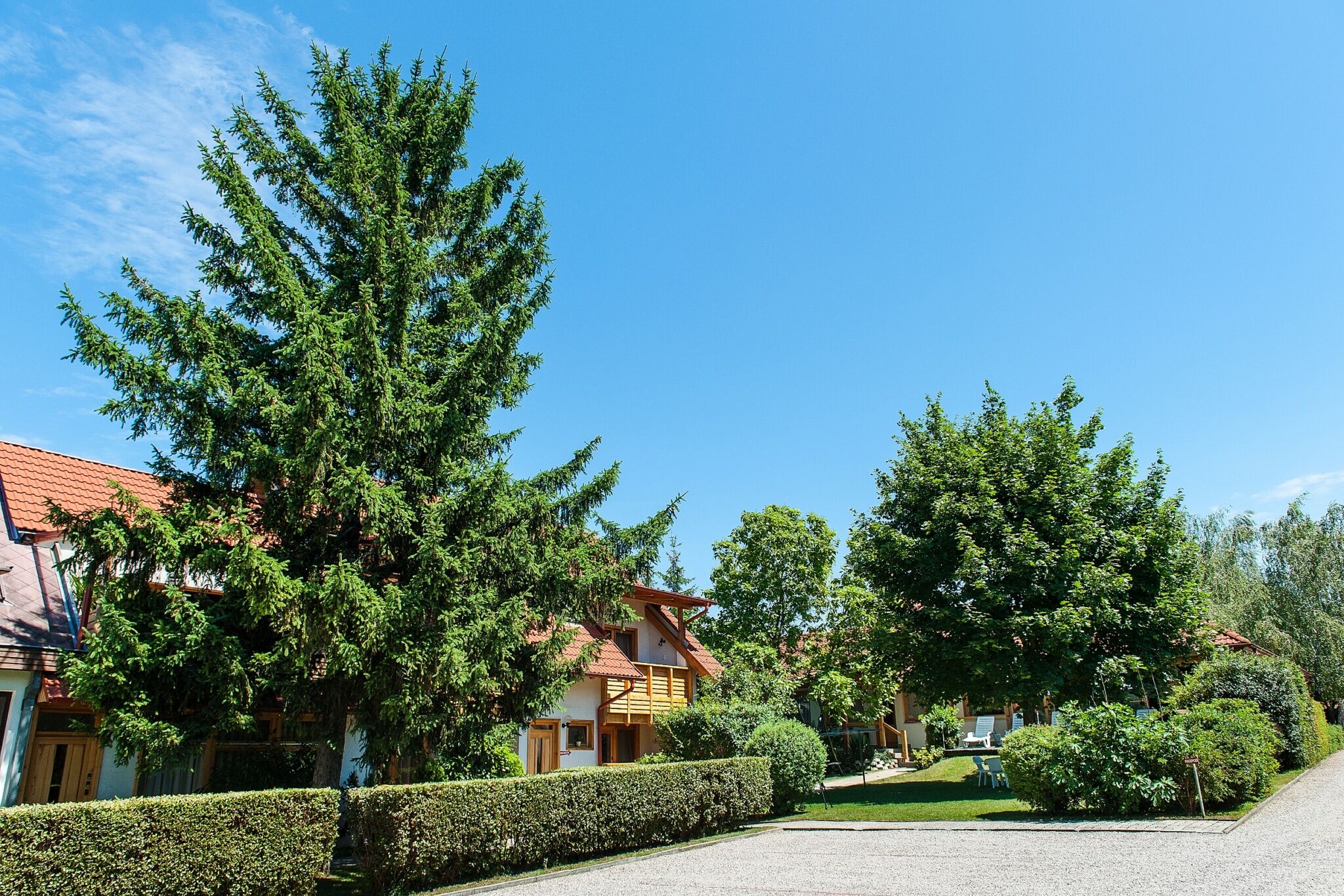 Téli Takács Apartmanok – Hévíz fotó 6
