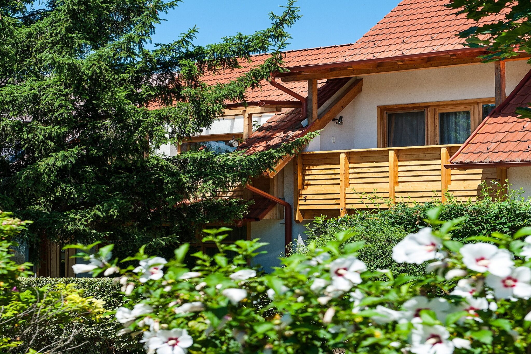 Téli Takács Apartmanok – Hévíz