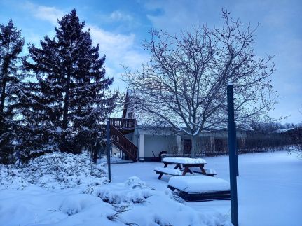 Tulipán Vendégház184