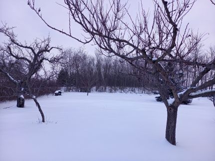 Tulipán Vendégház189