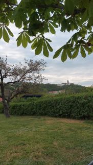 Tulipán Vendégház180