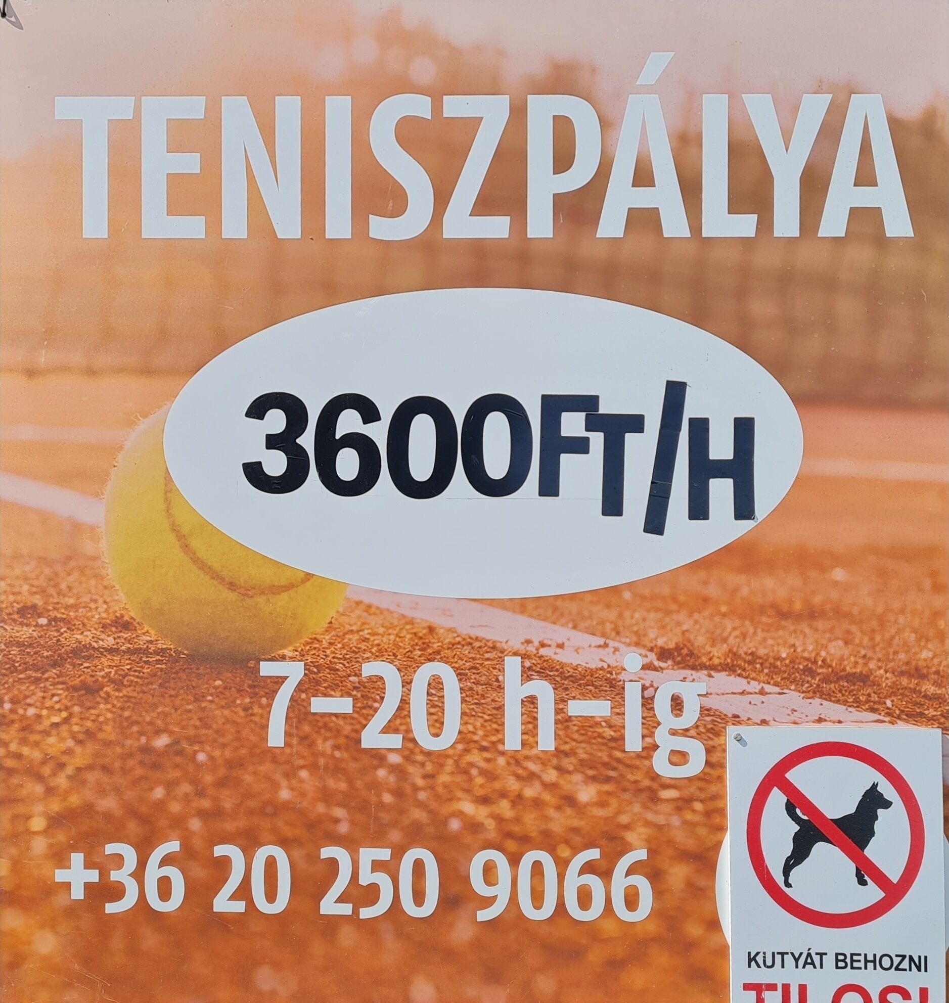 Crystal és Susanne Panzió – Siófok fotó 19