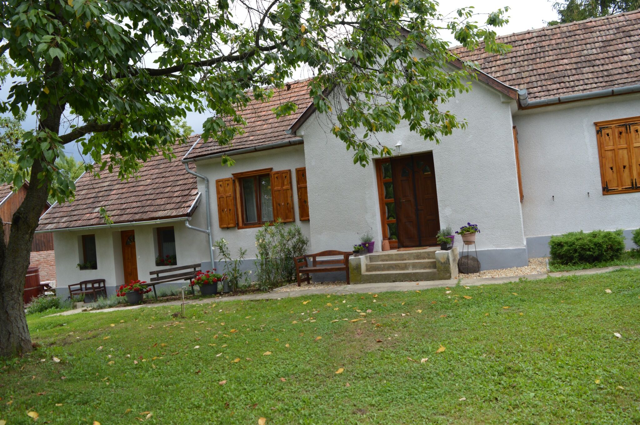 Klára Apartman – Szentkozmadombja fotó 10
