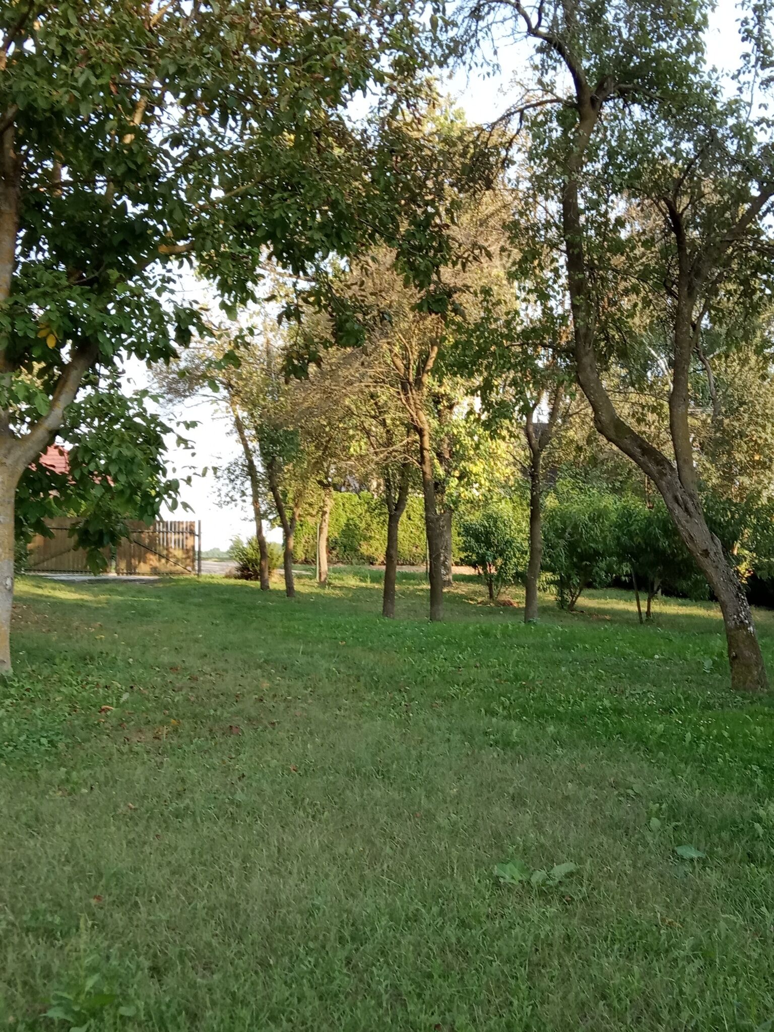 Klára Apartman – Szentkozmadombja fotó 1