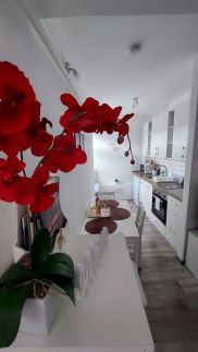 Orchidea Apartman9