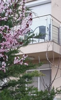 Violavilla Apartman9