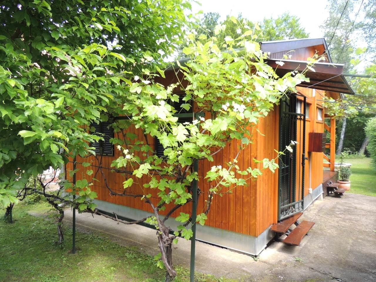 Picúr Nyaraló – Magyarhertelend fotó 1