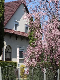 Tiszavirág Apartman