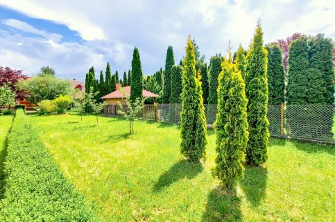 Bor-Villa Vendégház8