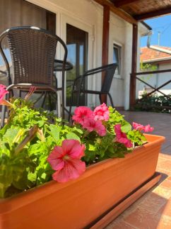 Gyöngyvirág Apartman – Mezőkövesd fotó 37