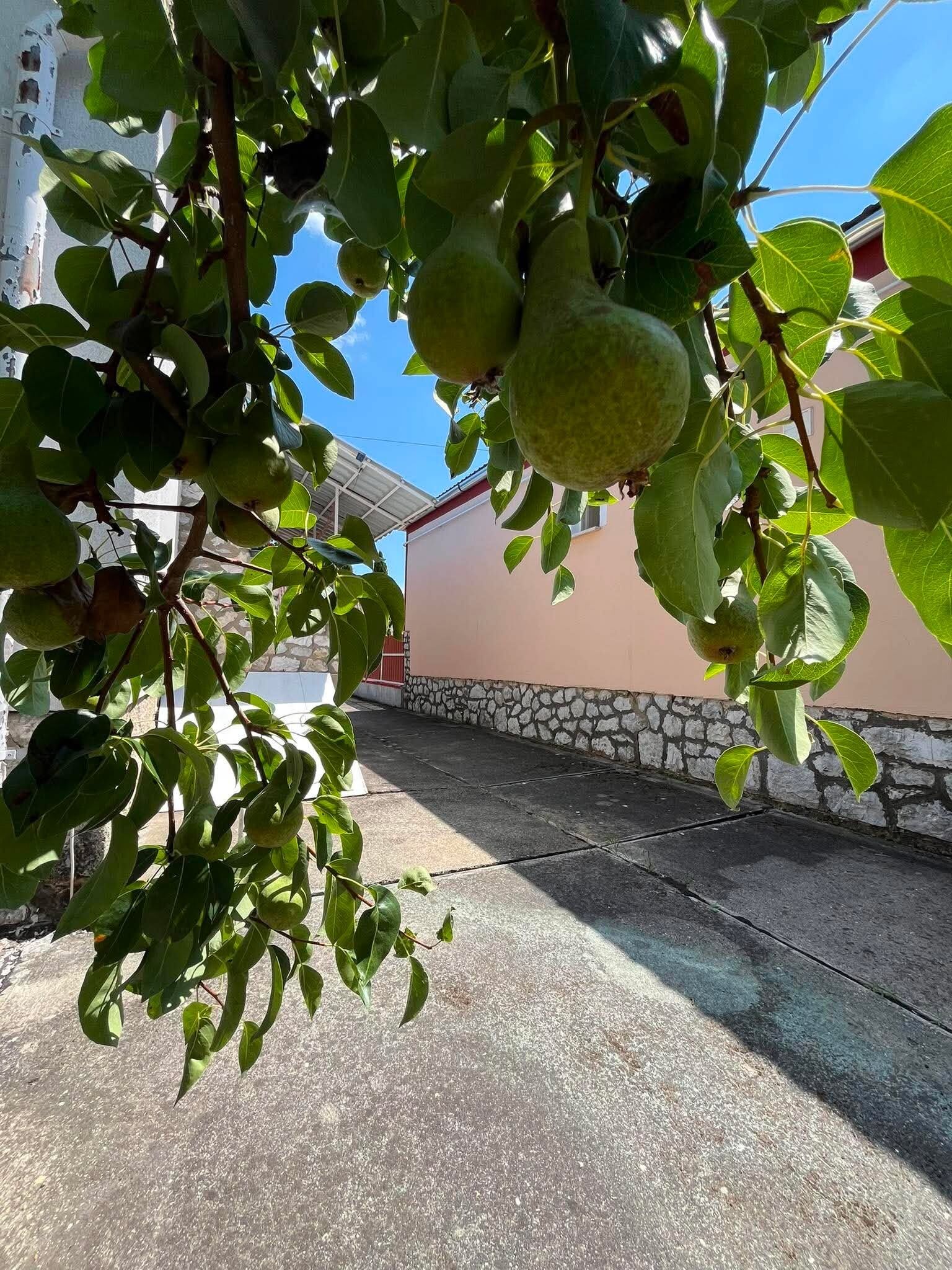 Gyöngyvirág Apartman – Mezőkövesd fotó 2