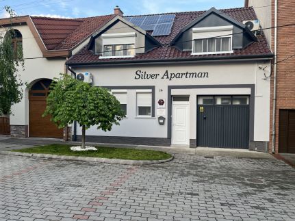 Silver Apartman23