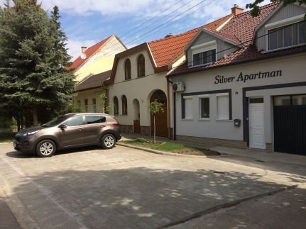 Silver Apartman6