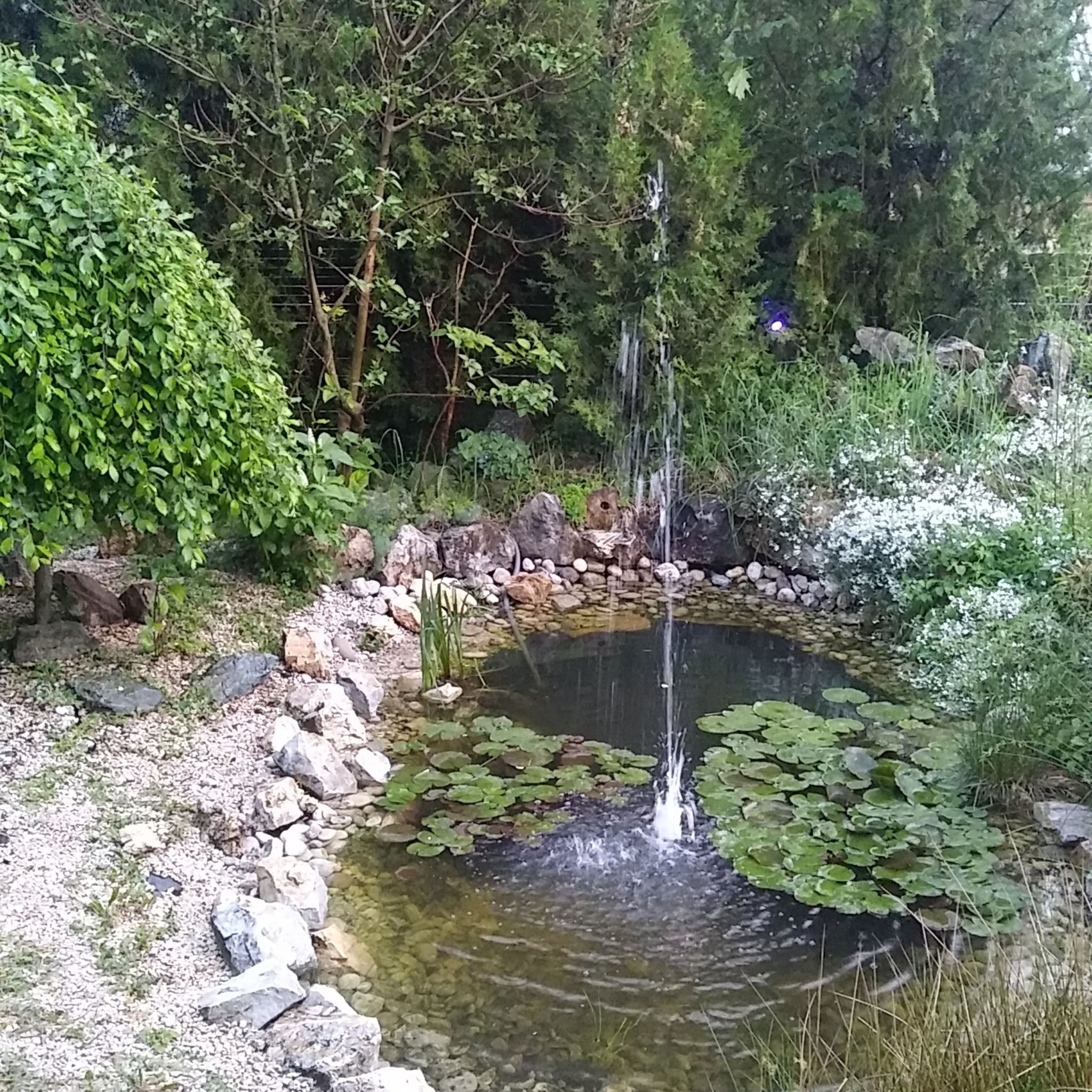 Pepe Apartman – Balatonakarattya fotó 3