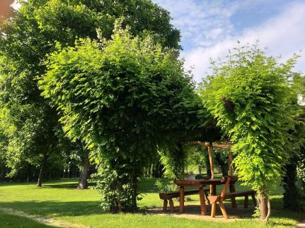 Szérűskert Vendégház