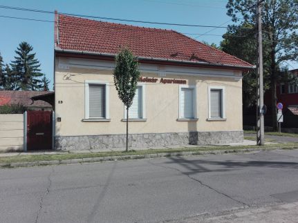 Molnár Apartman10