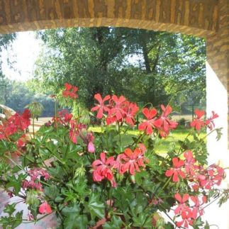 Tiszavirág Vendégház Szeged40