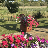 Turul Apartman – Enying